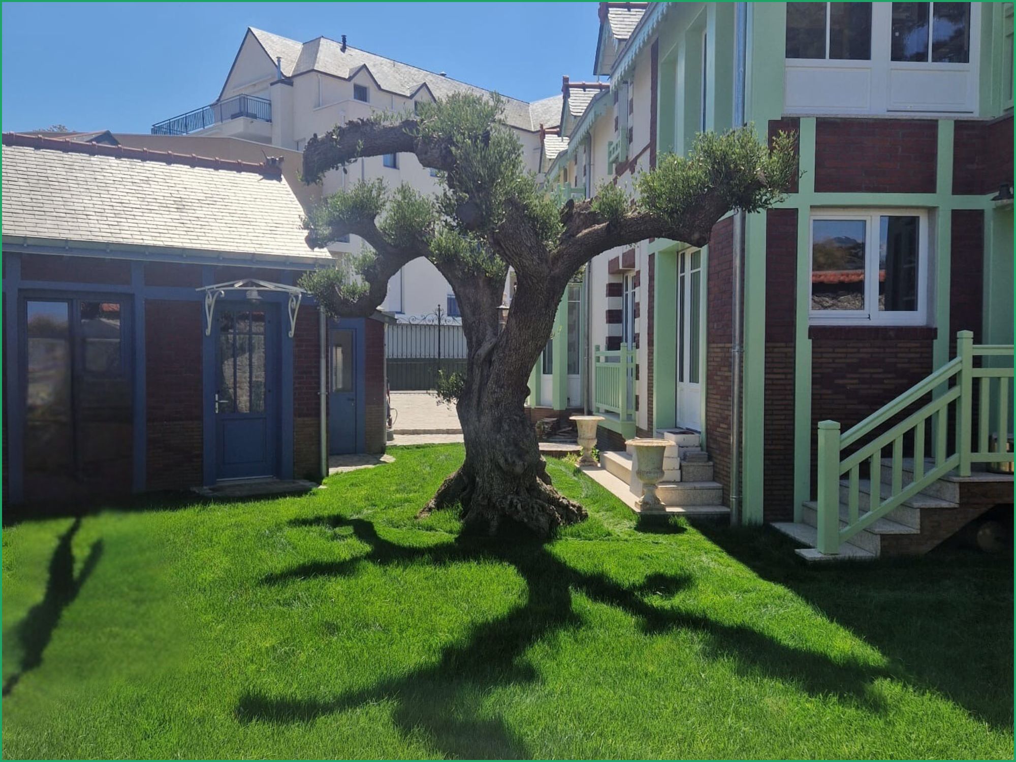 Jardin avec la pelouse déroulée