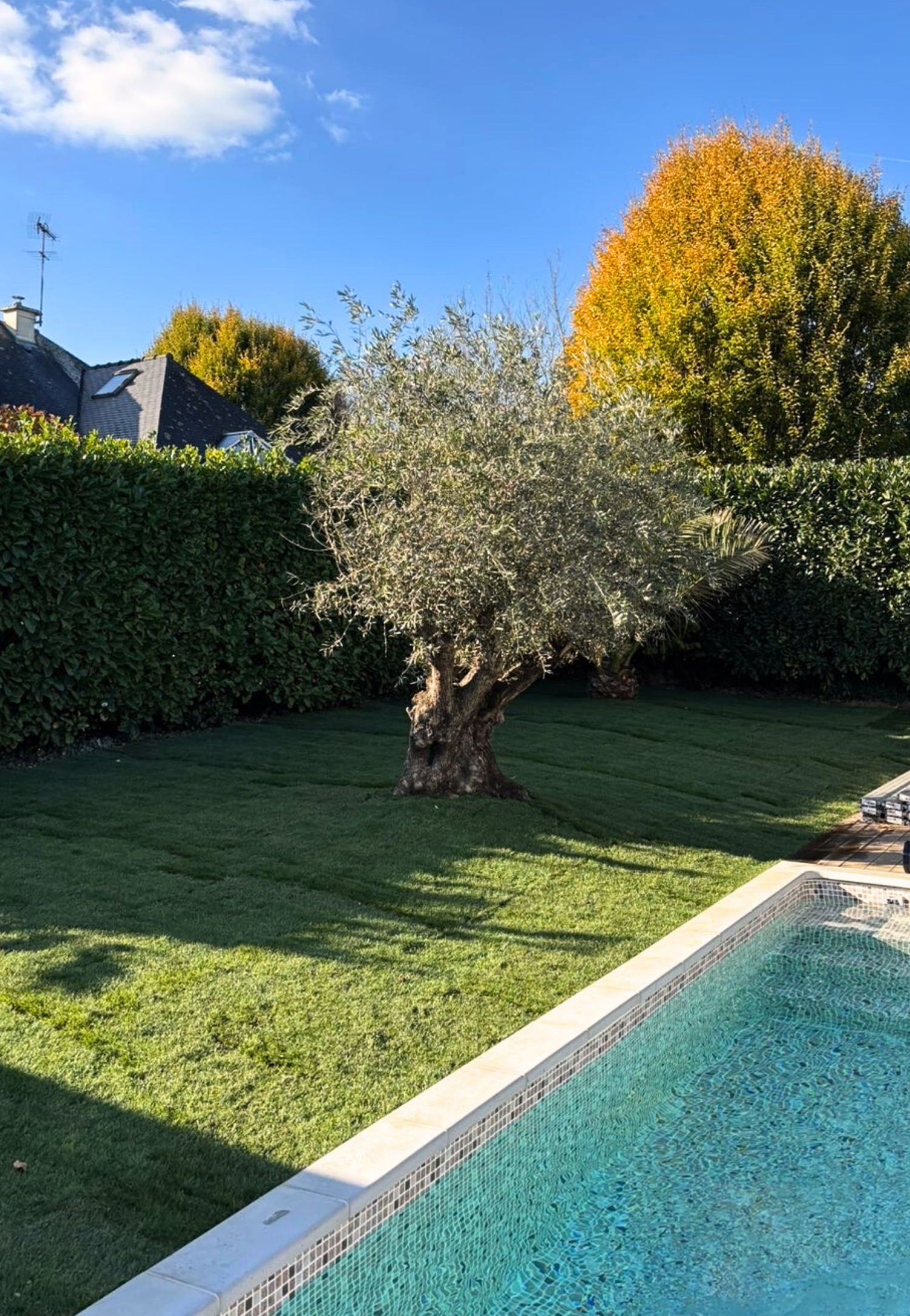 Gazon immédiat autour d’une piscine dans les côtes d’Armor Gazon immédiat autour d'une piscine