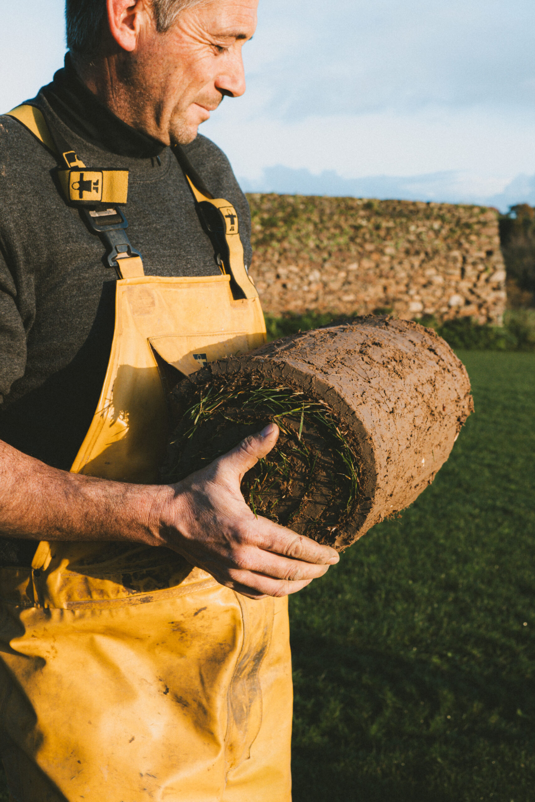 Les rouleaux de gazon naturel